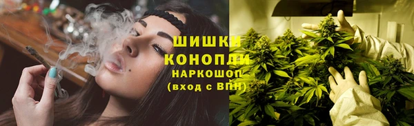 дурь Богородицк