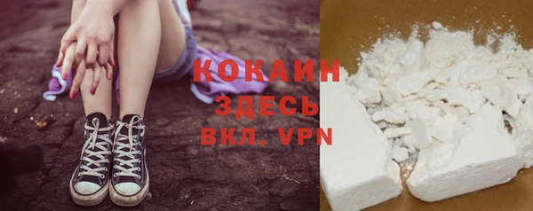 дурь Богородицк