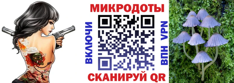 Галлюциногенные грибы мицелий  Каменка 