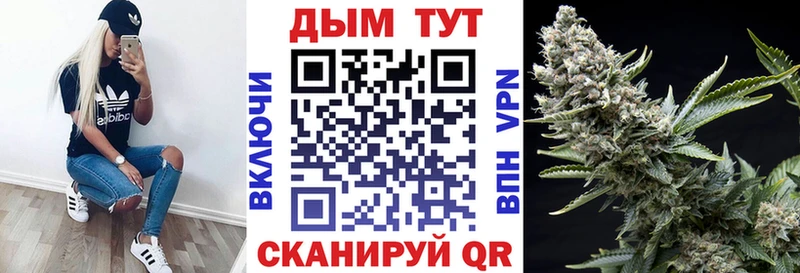 Каннабис MAZAR Каменка
